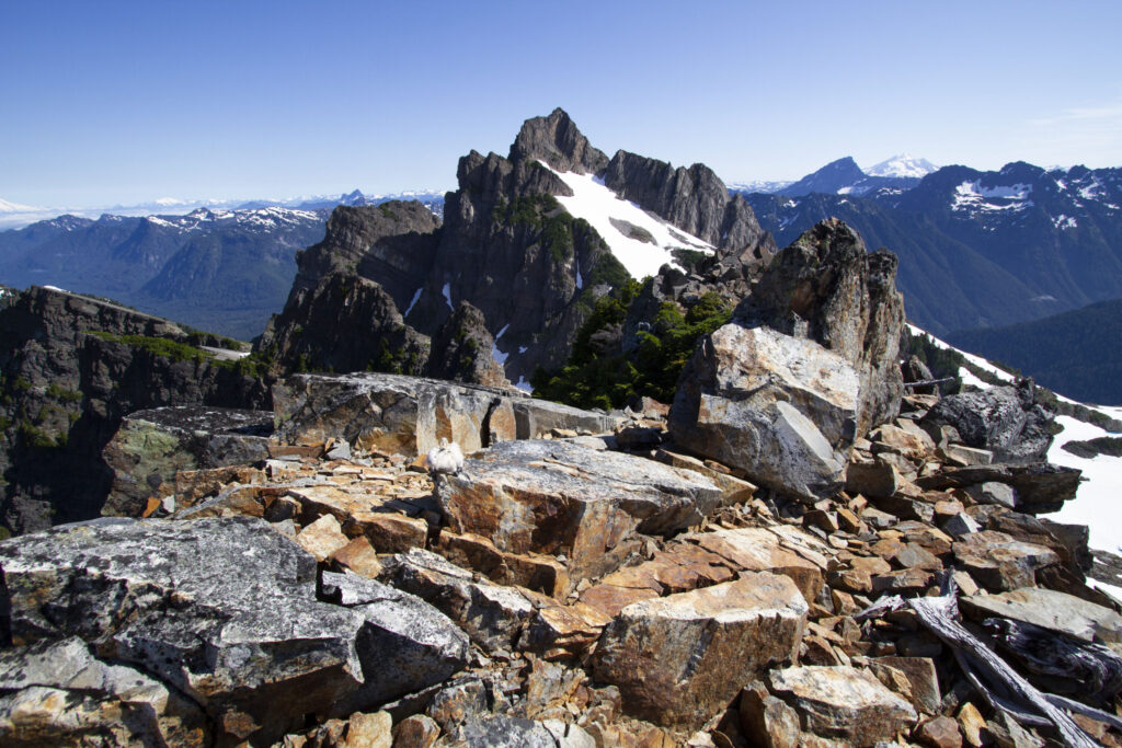 Gothic Peak & Del Campo, Scramble from Foggy Lake (3rd) - www